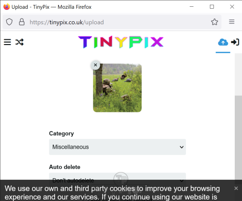 Upload---TinyPix--Mozilla-Firefox-10_27_2023-1_28_24-PM.png