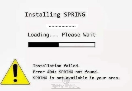 installing-spring.jpeg