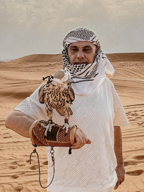 ibrahim-murat-gunduz-desert-falcon.jpeg